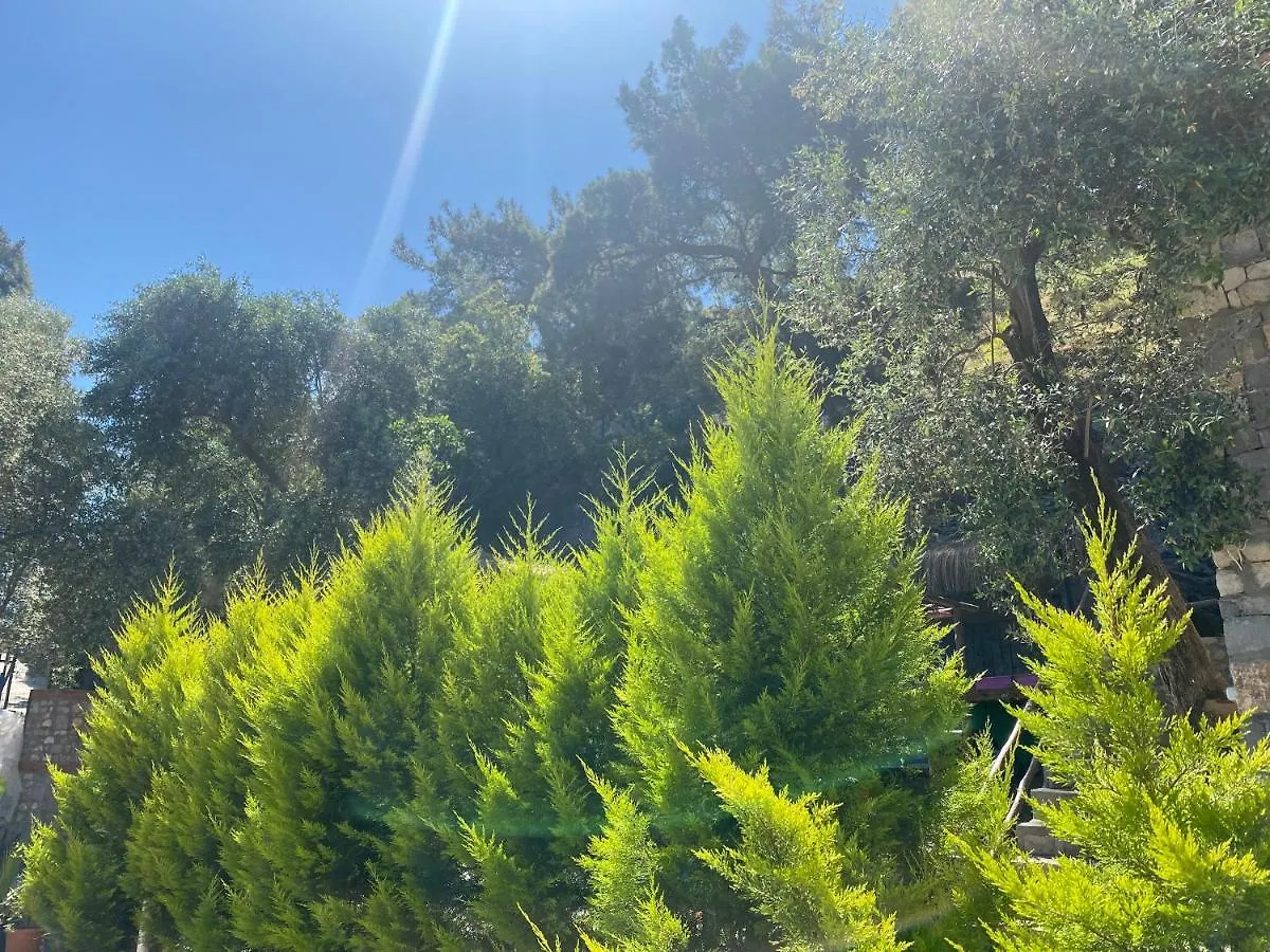 Nyaraló Kaktus Suites 1 Fethiye Törökország